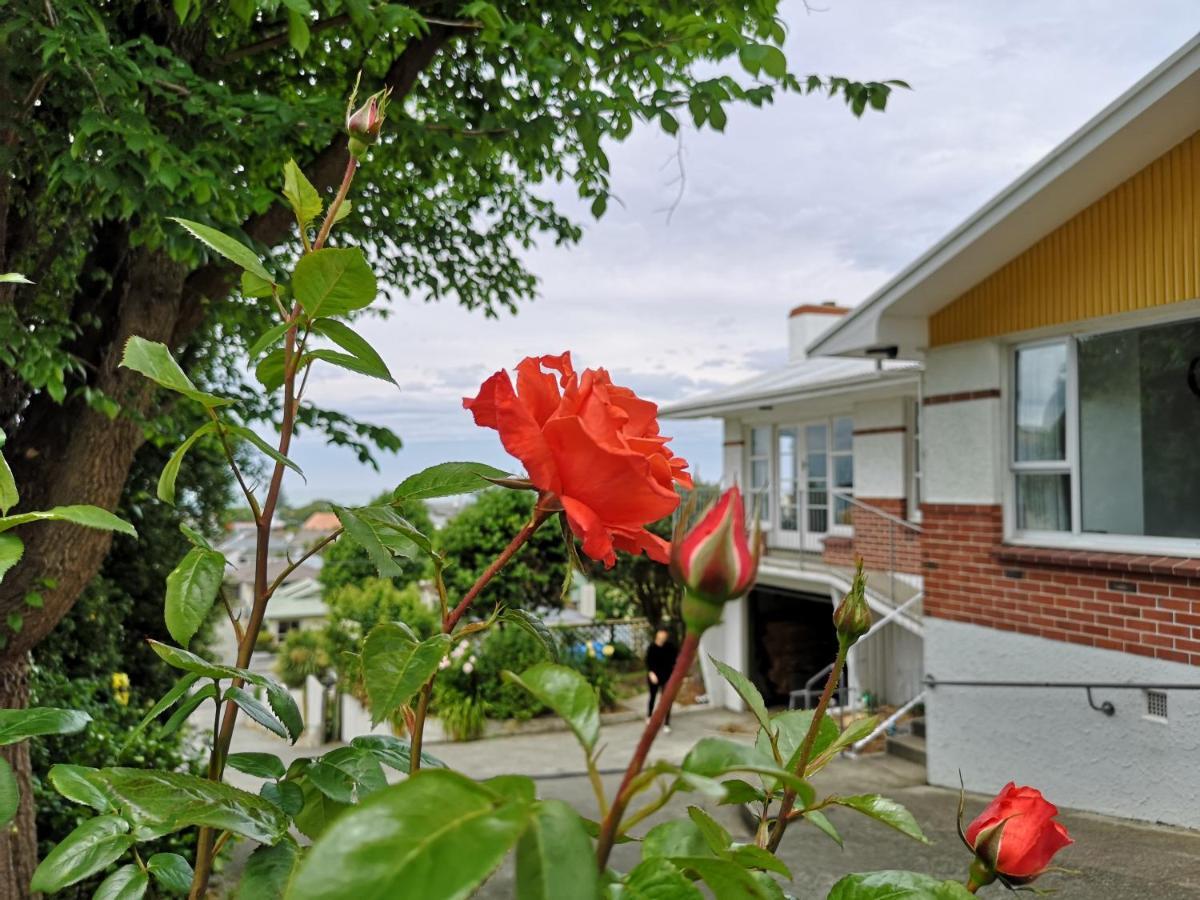 Hello Seaview! 4 Brs House In Location! Holiday home Oamaru